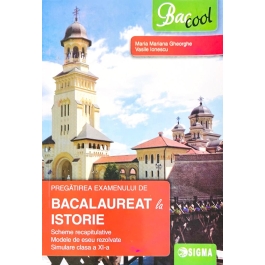 Pregatirea Examenului de Bacalaureat la Istorie - Maria Mariana Gheorghe, Vasile Ionescu