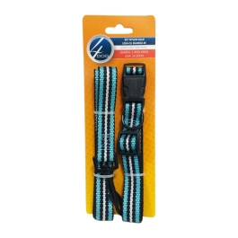 4DOG Set Nylon Blue Lesa cu Zgarda M