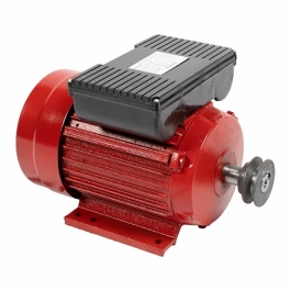 Motor electric 2.2 kW 3000rpm TROIAN ROSU