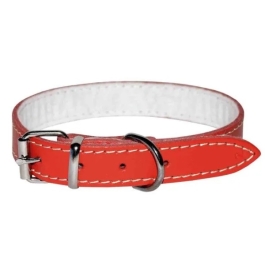 Zgarda Pasla Rosie 10x290 mm 4DOG