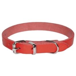 Zgarda Simpla Rosie12x360 mm 4DOG 